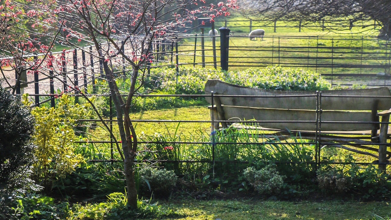 Photo of Outdoor in North Perrott