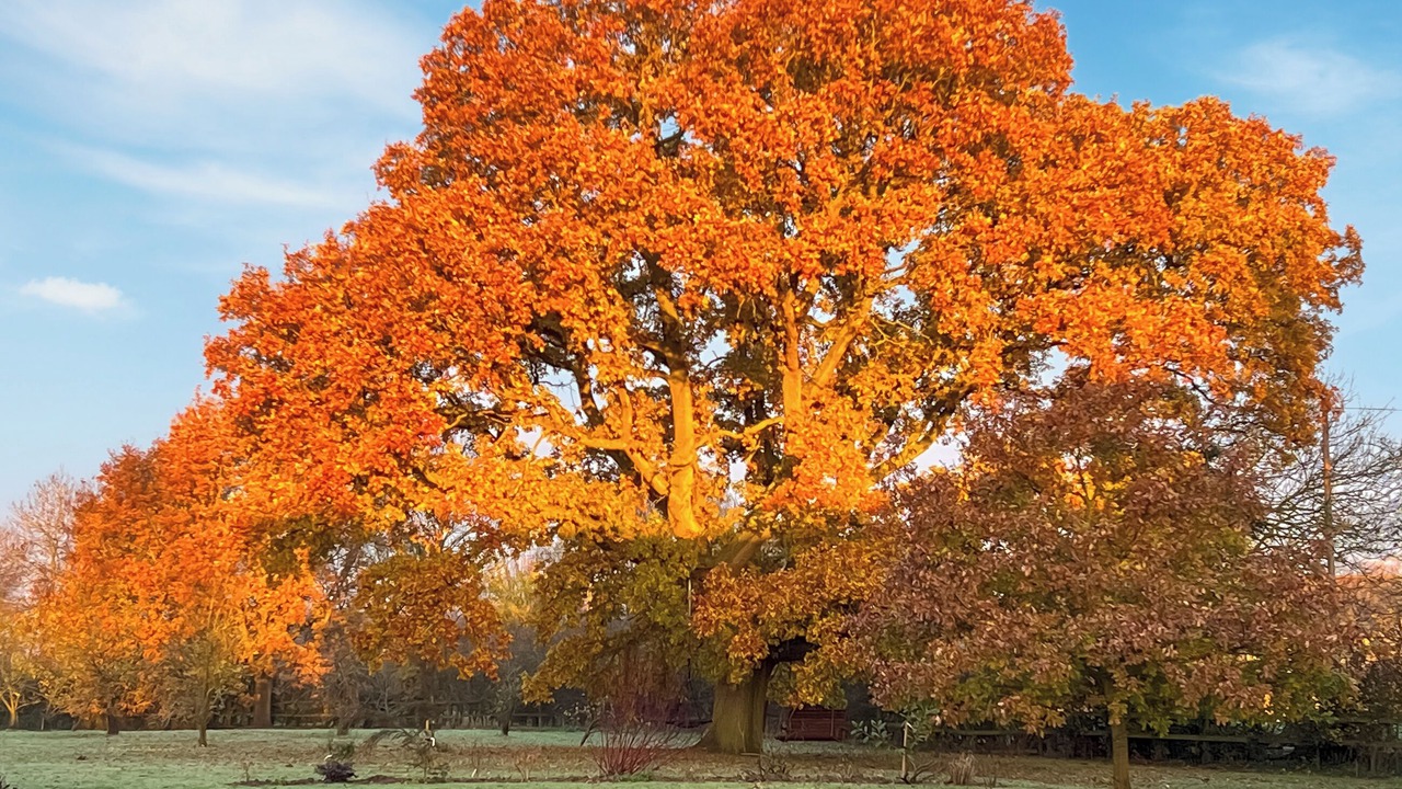 Photo of Others in Dunmow