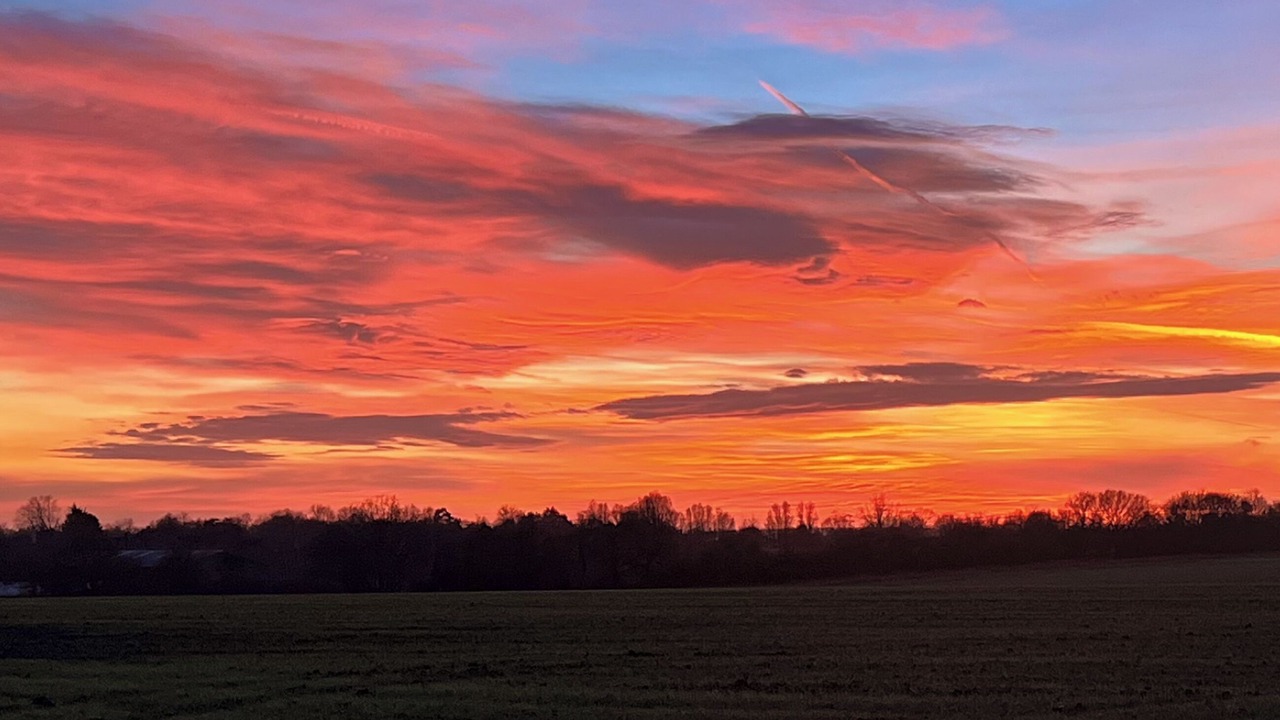 Photo of Others in Dunmow