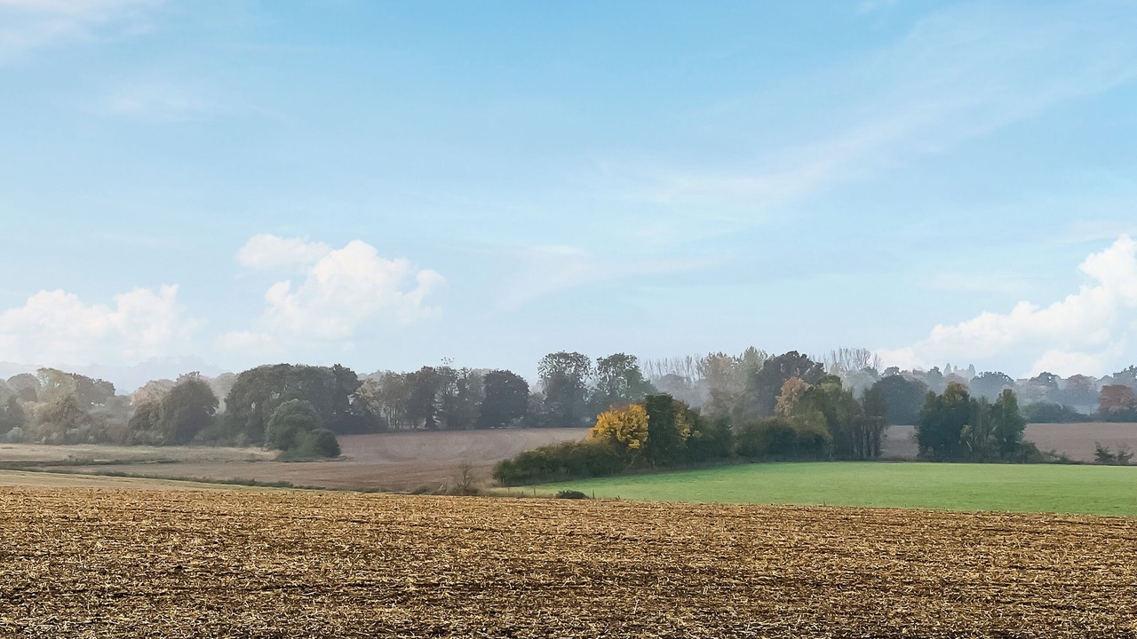 Photo of Others in Dunmow