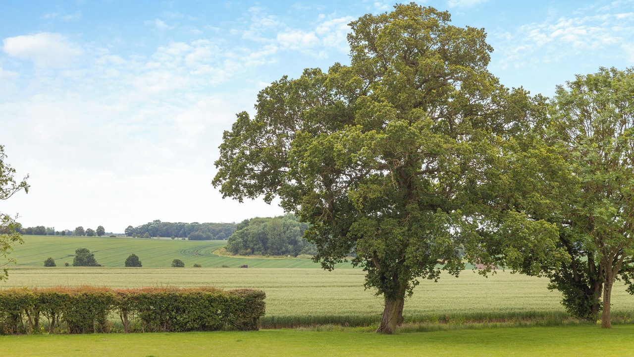 Photo of Others in Dunmow