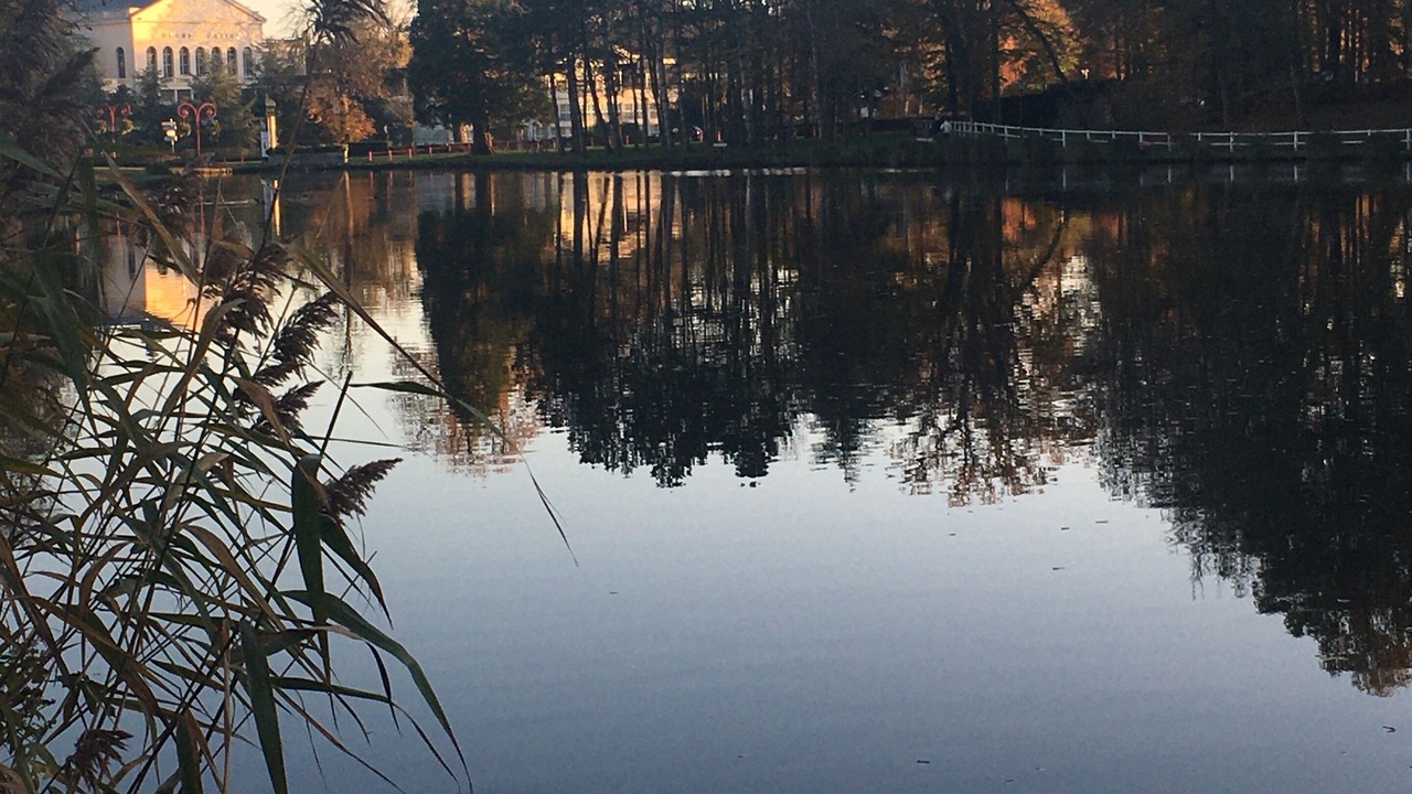 Photo of Others in Serqueux