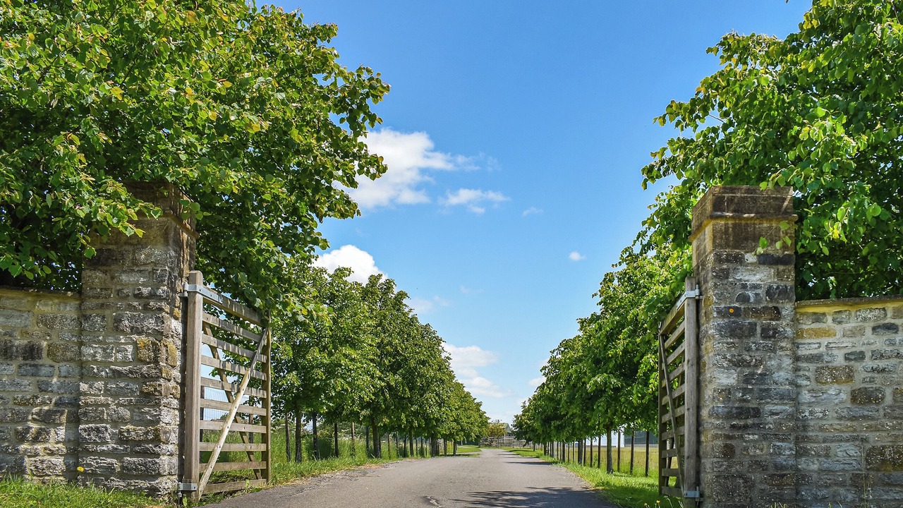 Photo of Others in Babcary