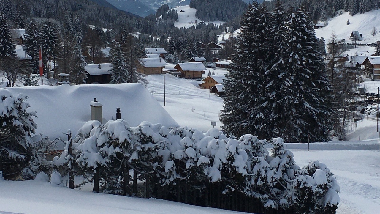 Photo of Others in Ormont-Dessous