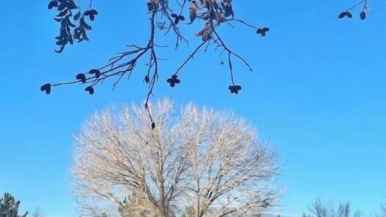 Photo of Outdoor in Bloomfield