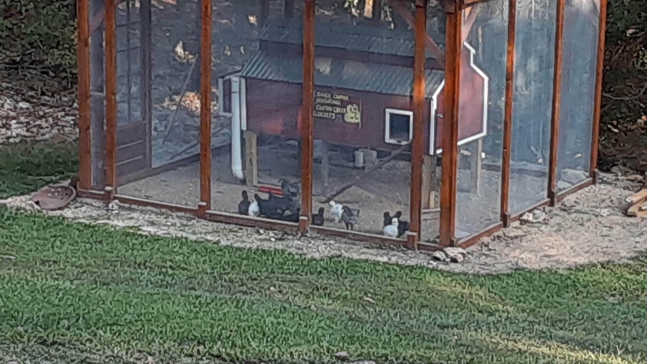 Photo of Outdoor in Branson
