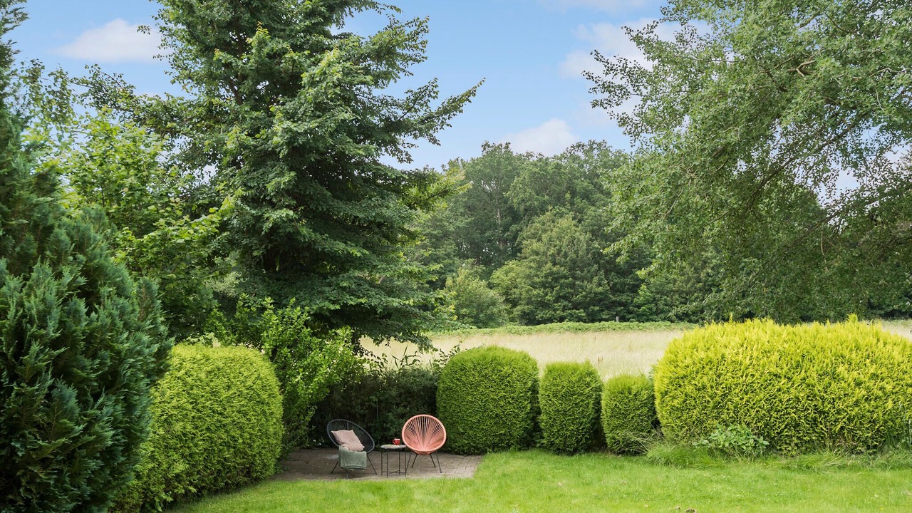 Photo of Others in Faxe Ladeplads