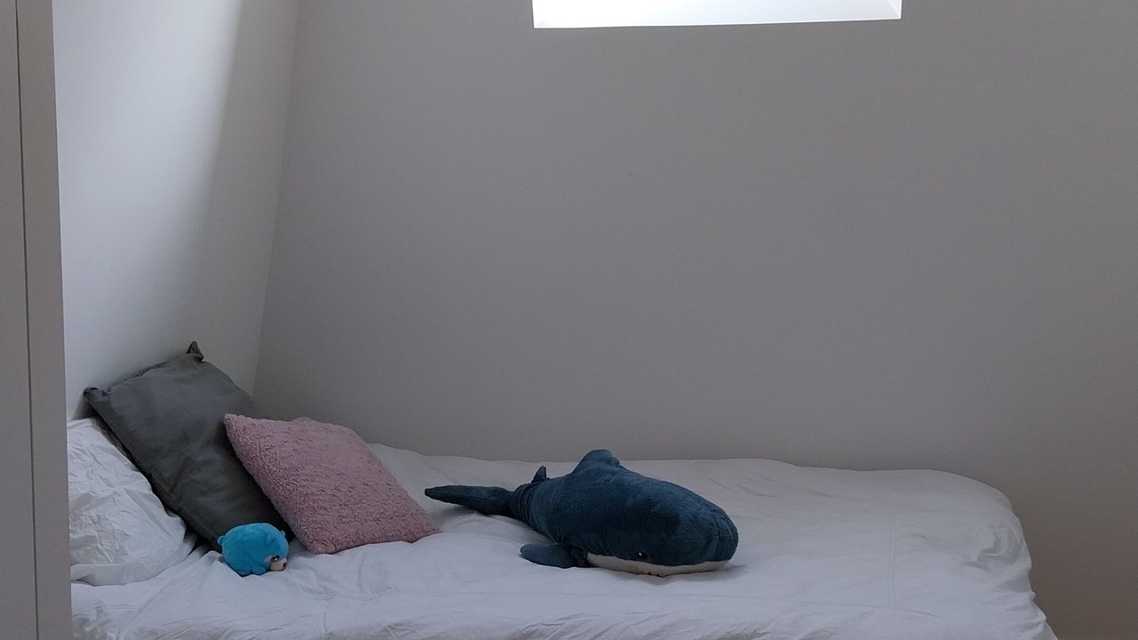 Photo of Bedroom in Le Vesinet