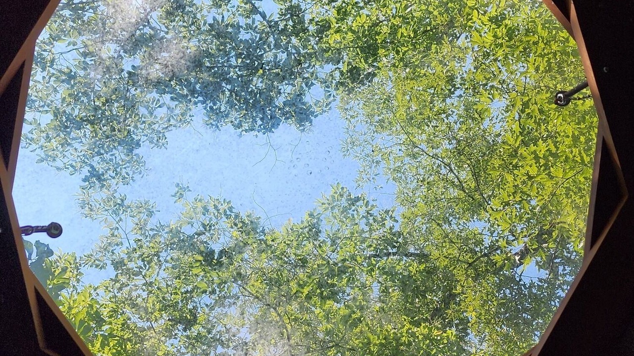 Photo of Others in Mill Spring