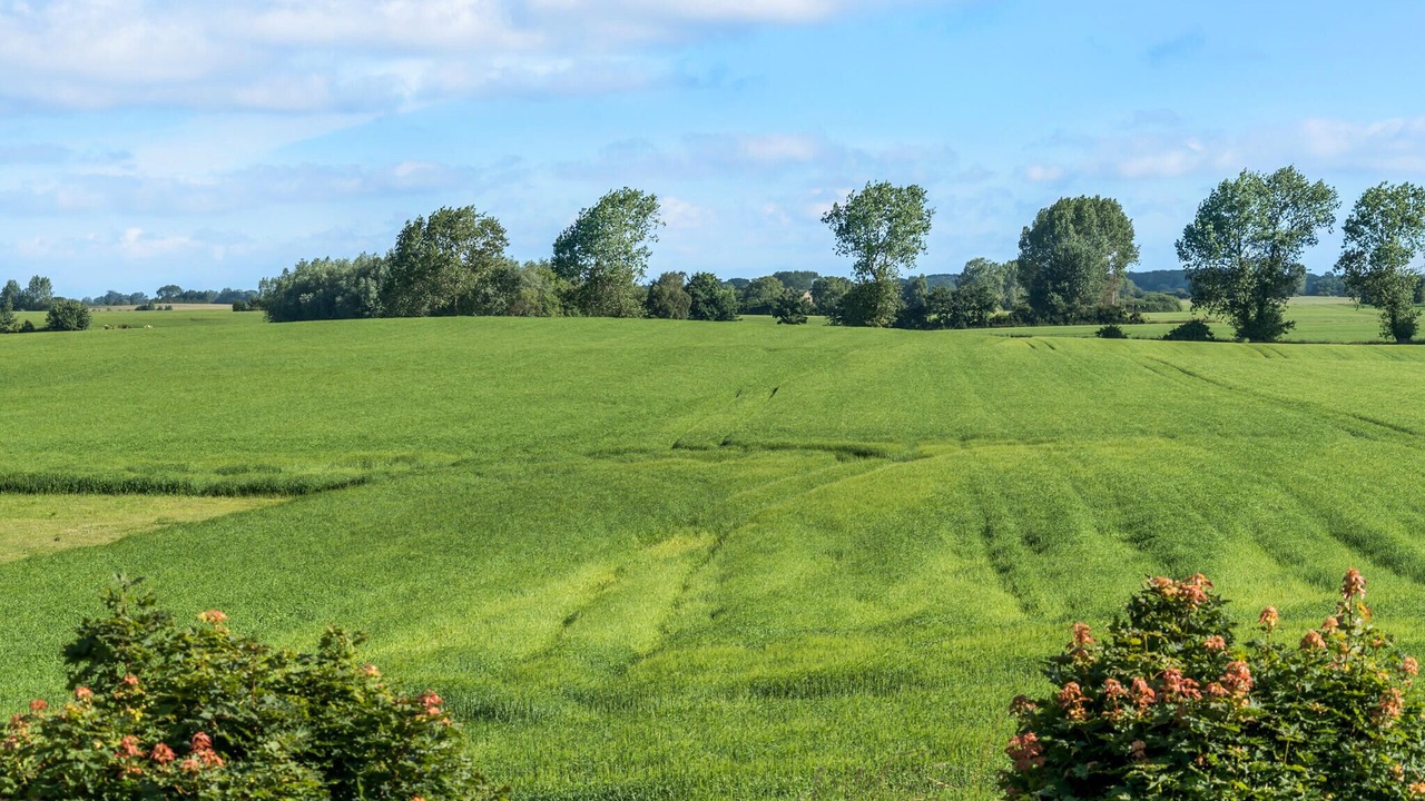 Photo of Others in Nyborg