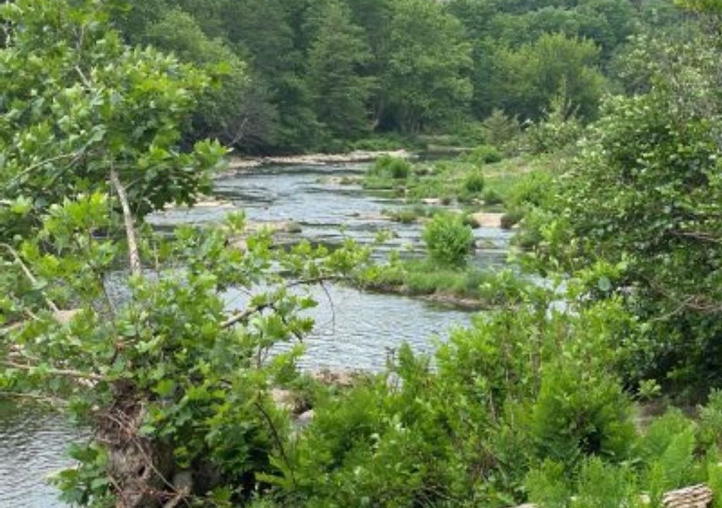 Photo of Outdoor in Chambonas