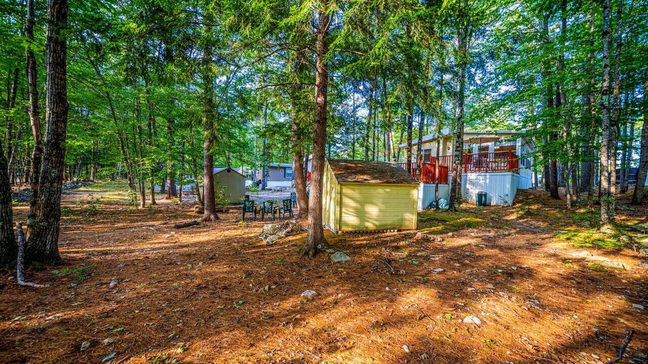 Photo of Outdoor in South Casco