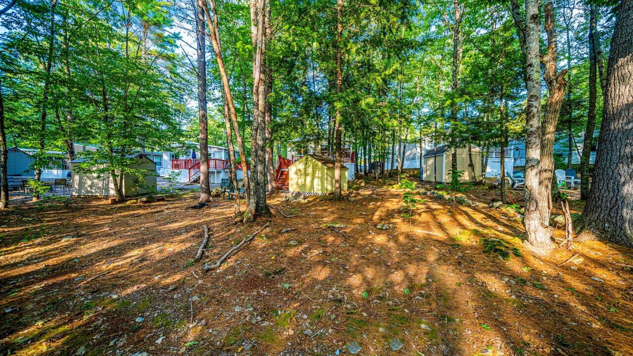 Photo of Others in South Casco