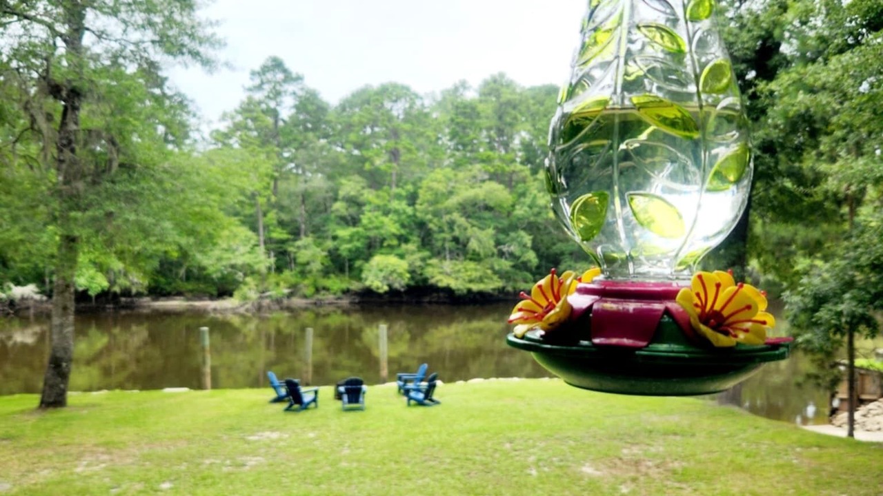 Photo of Outdoor in Colleton County