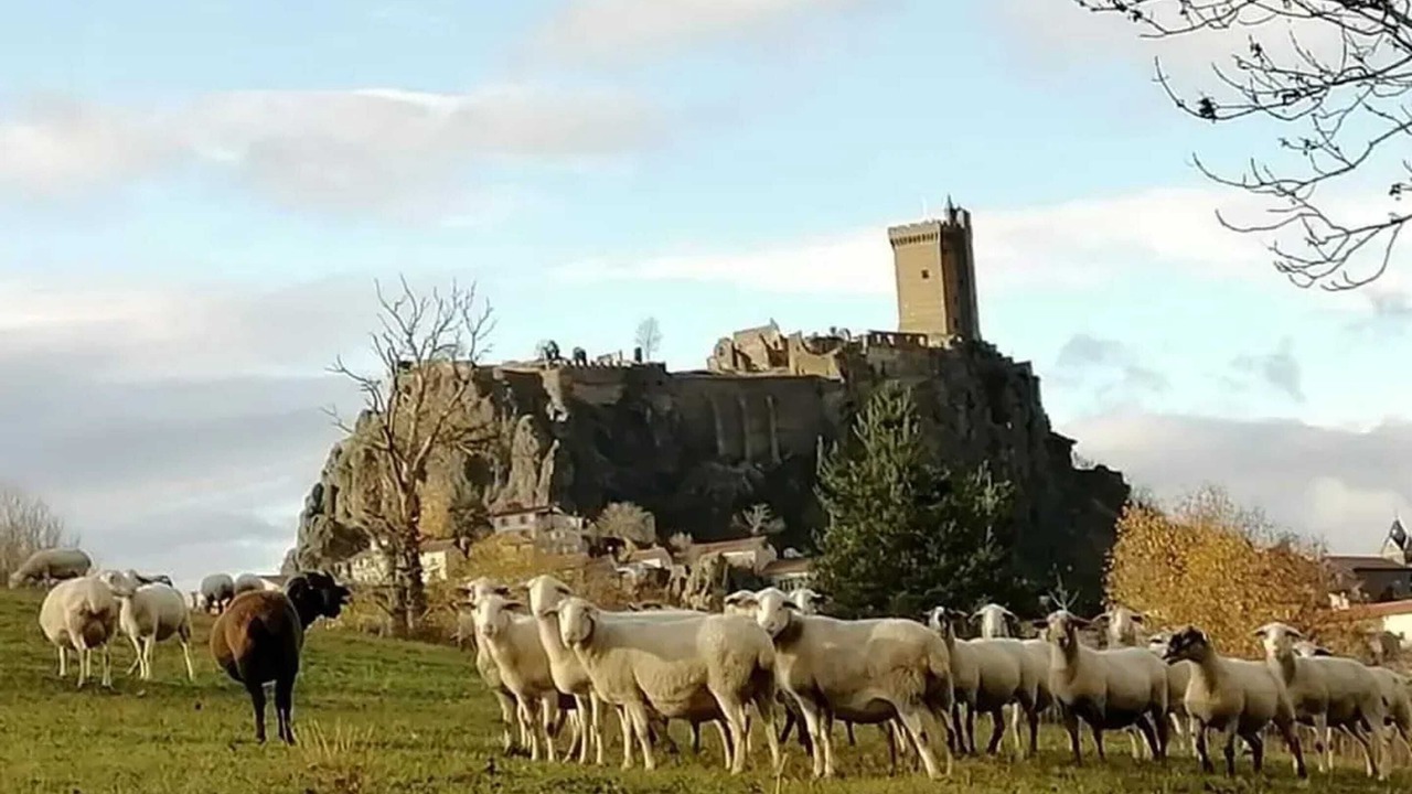 Photo of Others in Domeyrat