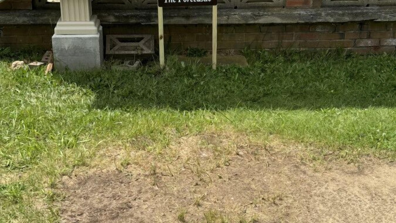 Photo of Others in Old Lyme