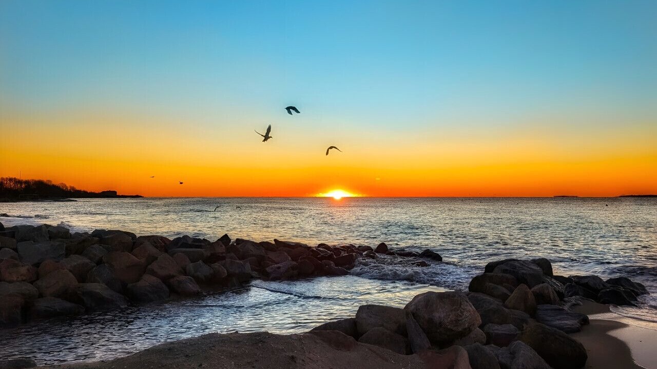 Photo of Others in Old Lyme