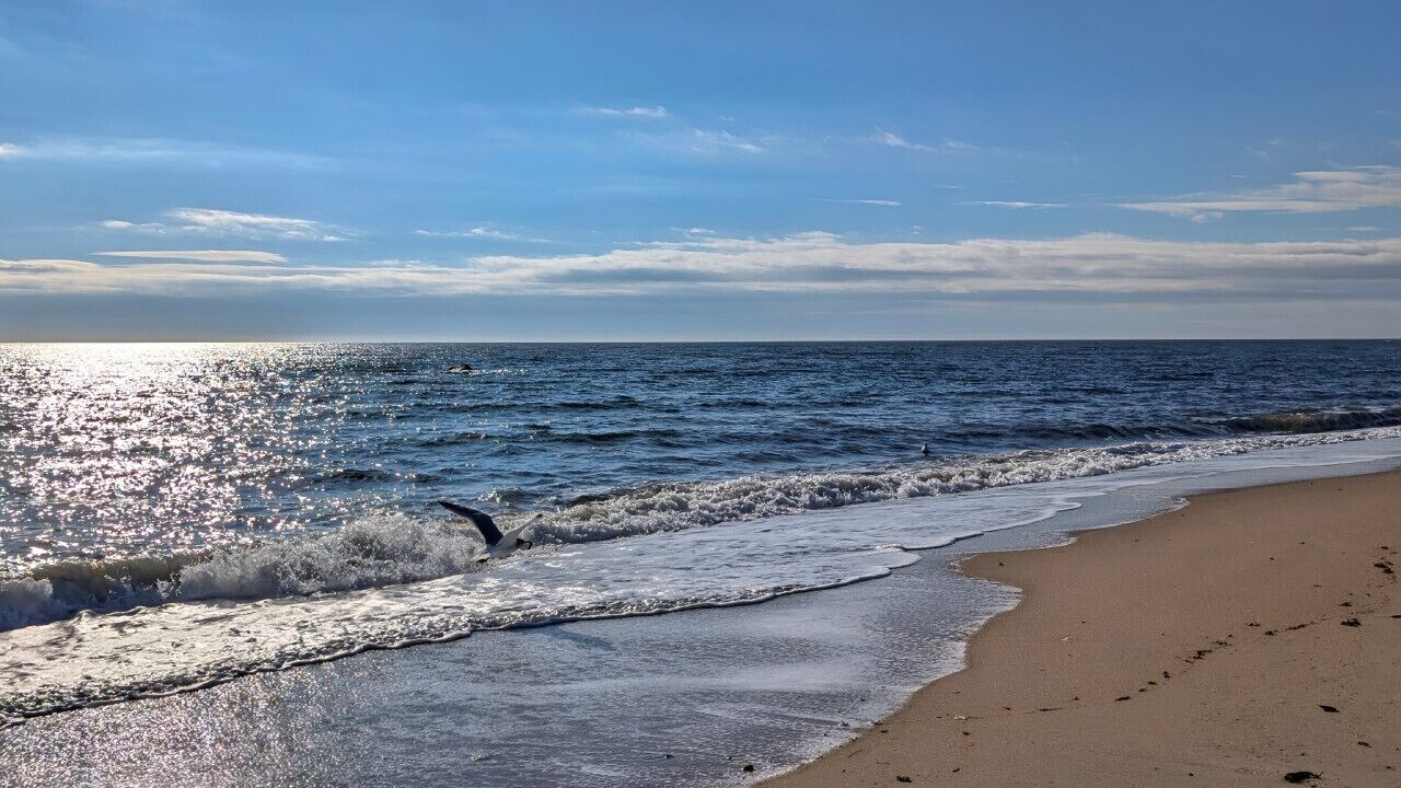 Photo of Others in Old Lyme