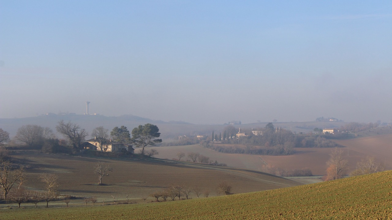 Photo of Others in Lisle-sur-Tarn