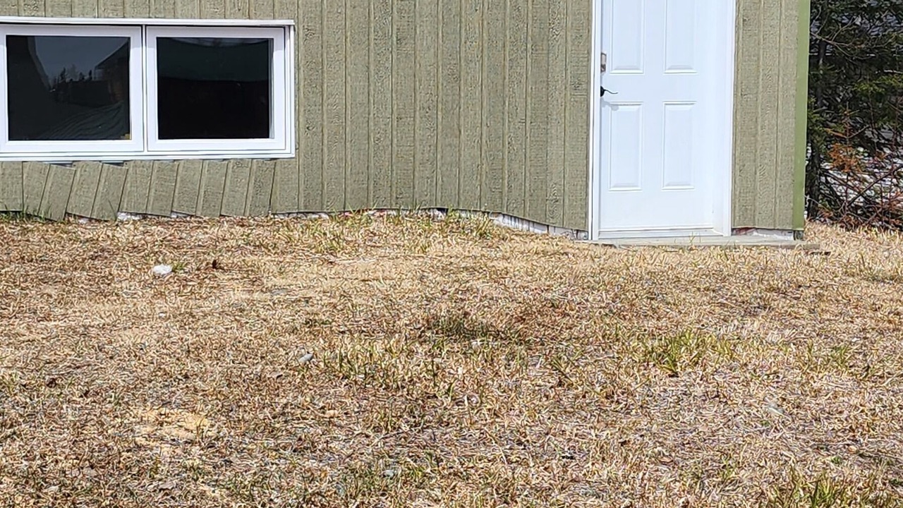 Photo of Outdoor in Barraute