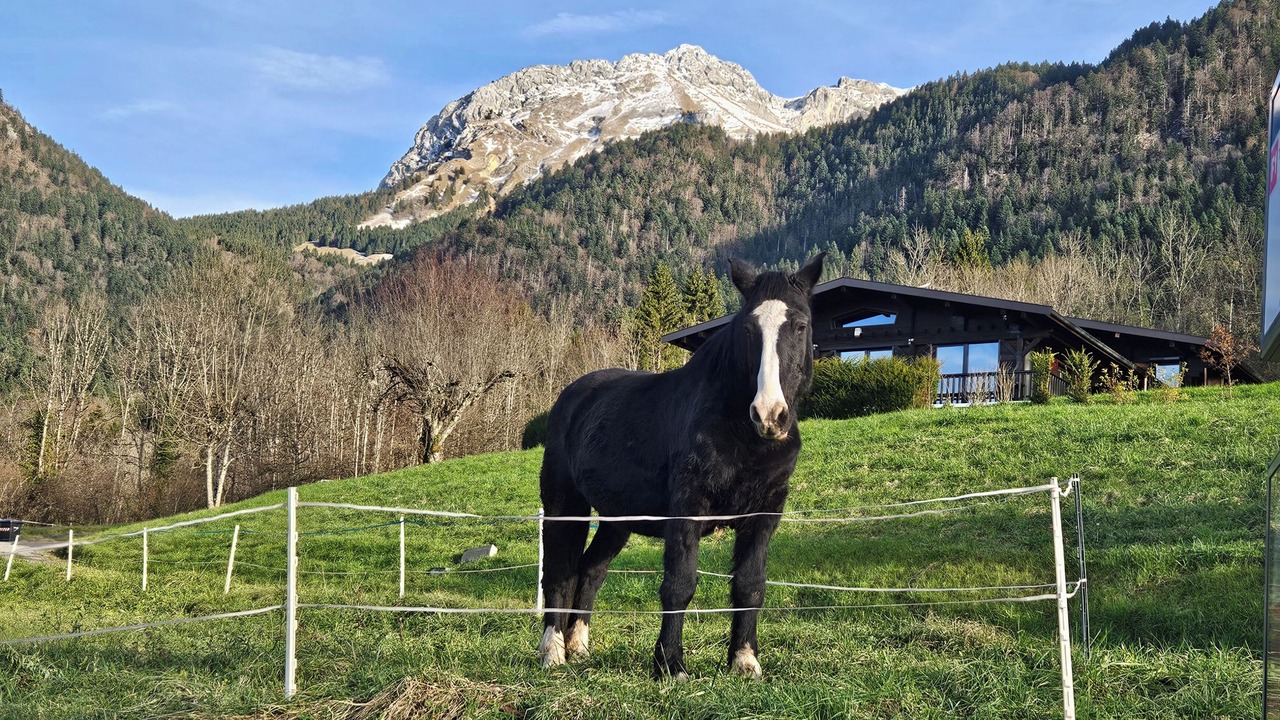 Photo of Others in Rovagny