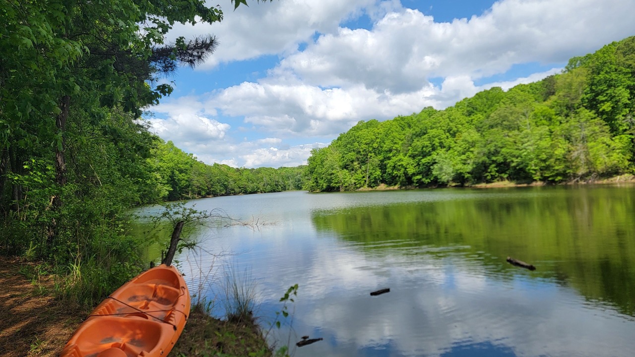 Photo of Others in Anderson