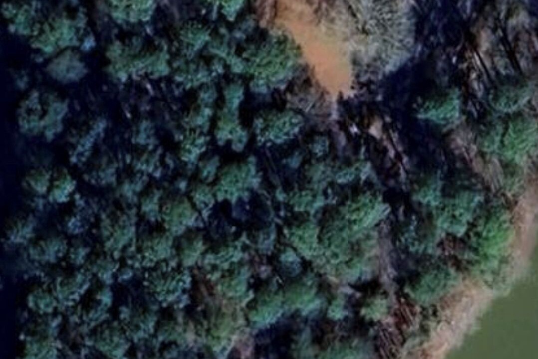 Photo of Outdoor in Anderson