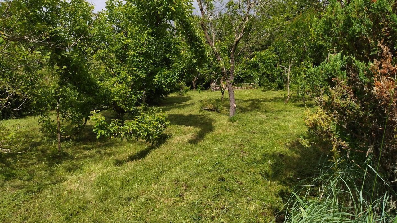 Photo of Outdoor in Parent