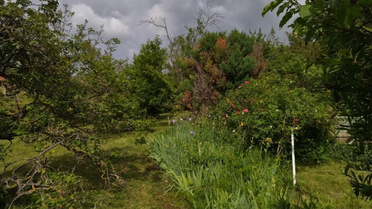 Photo of Outdoor in Parent
