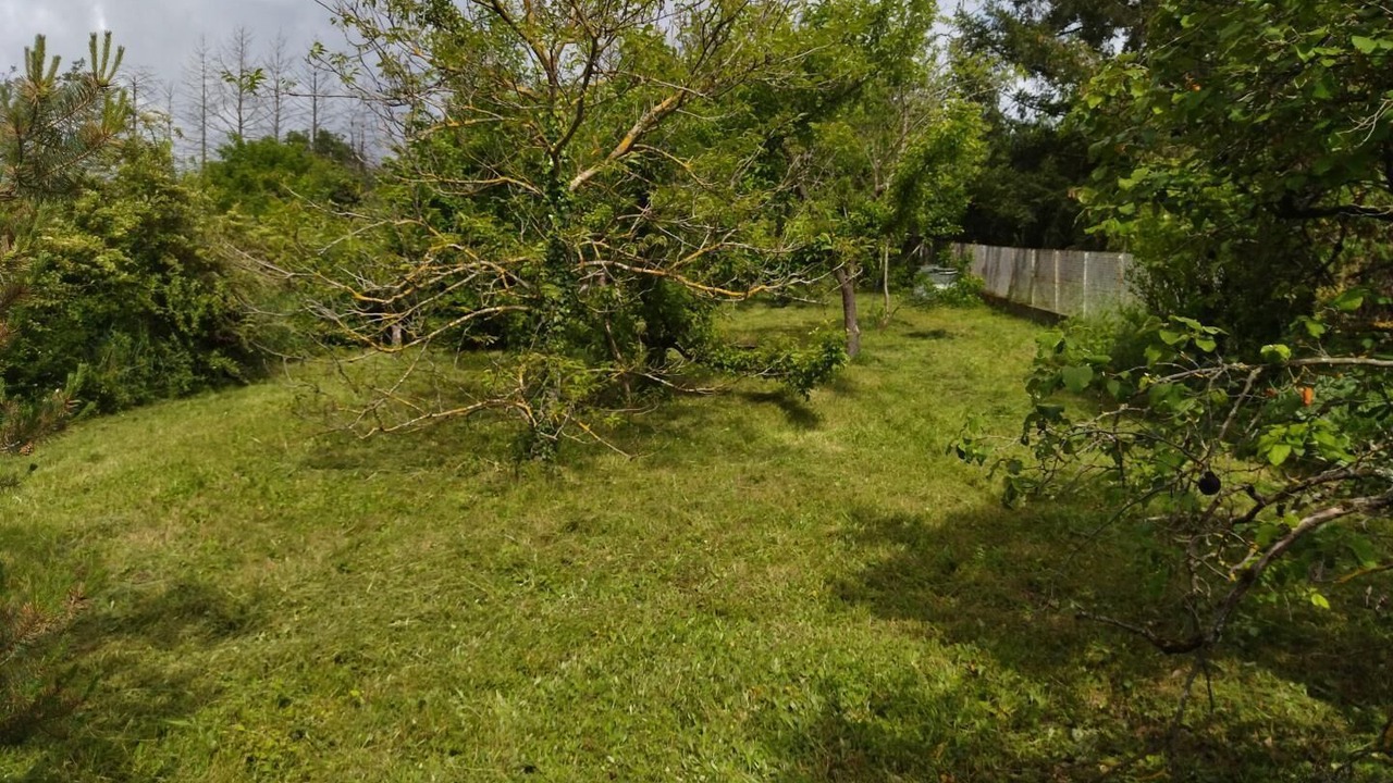 Photo of Outdoor in Parent