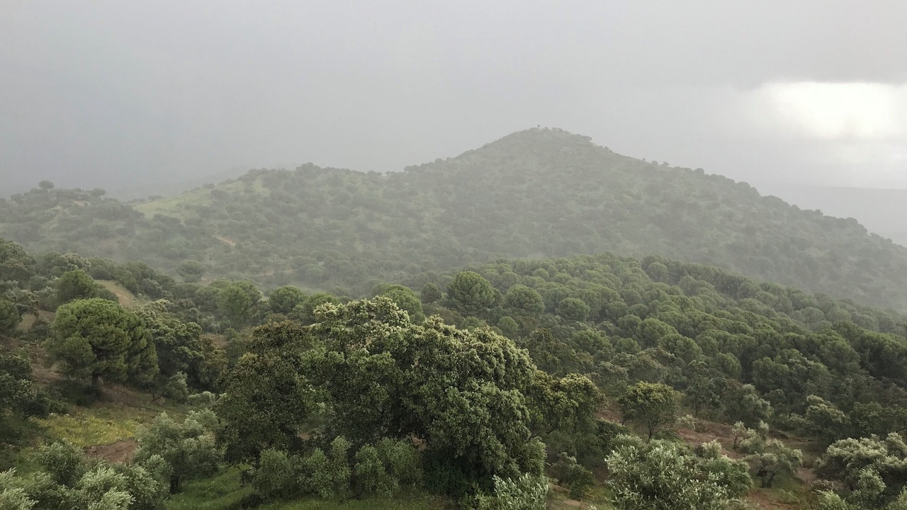 Photo of Outdoor in Andujar