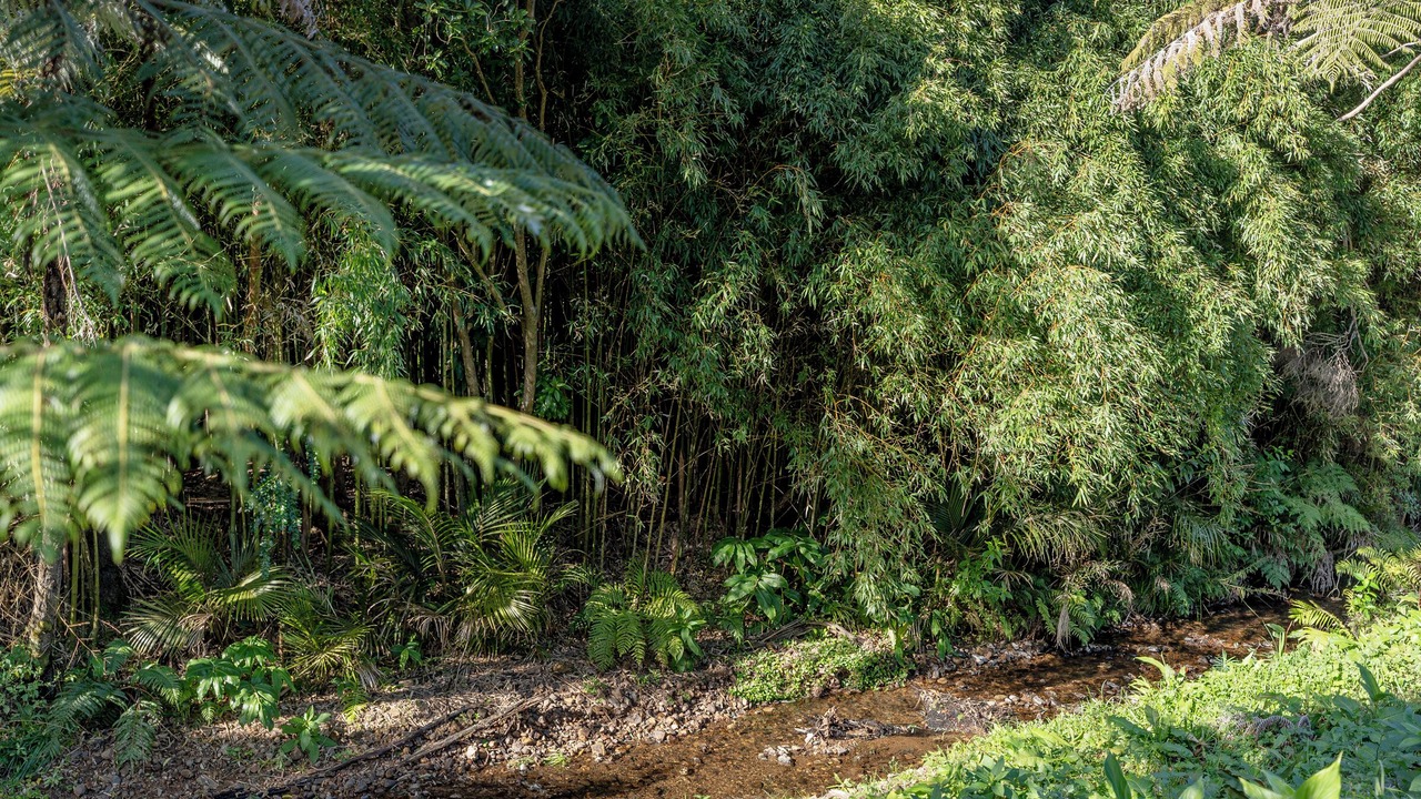 Photo of Bathroom in Kuaotunu