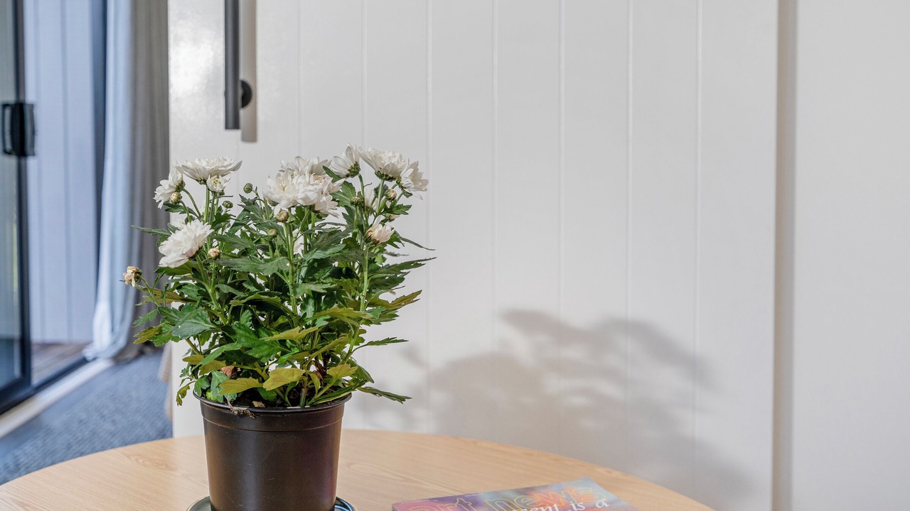 Photo of Others in Kuaotunu