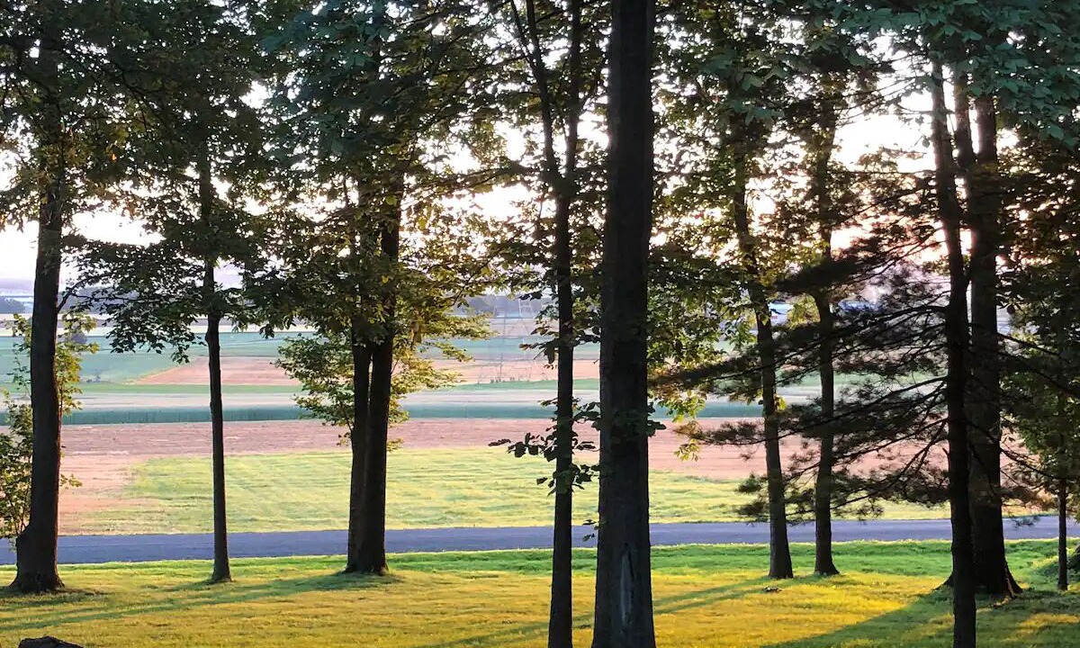 Photo of Outdoor in Manheim