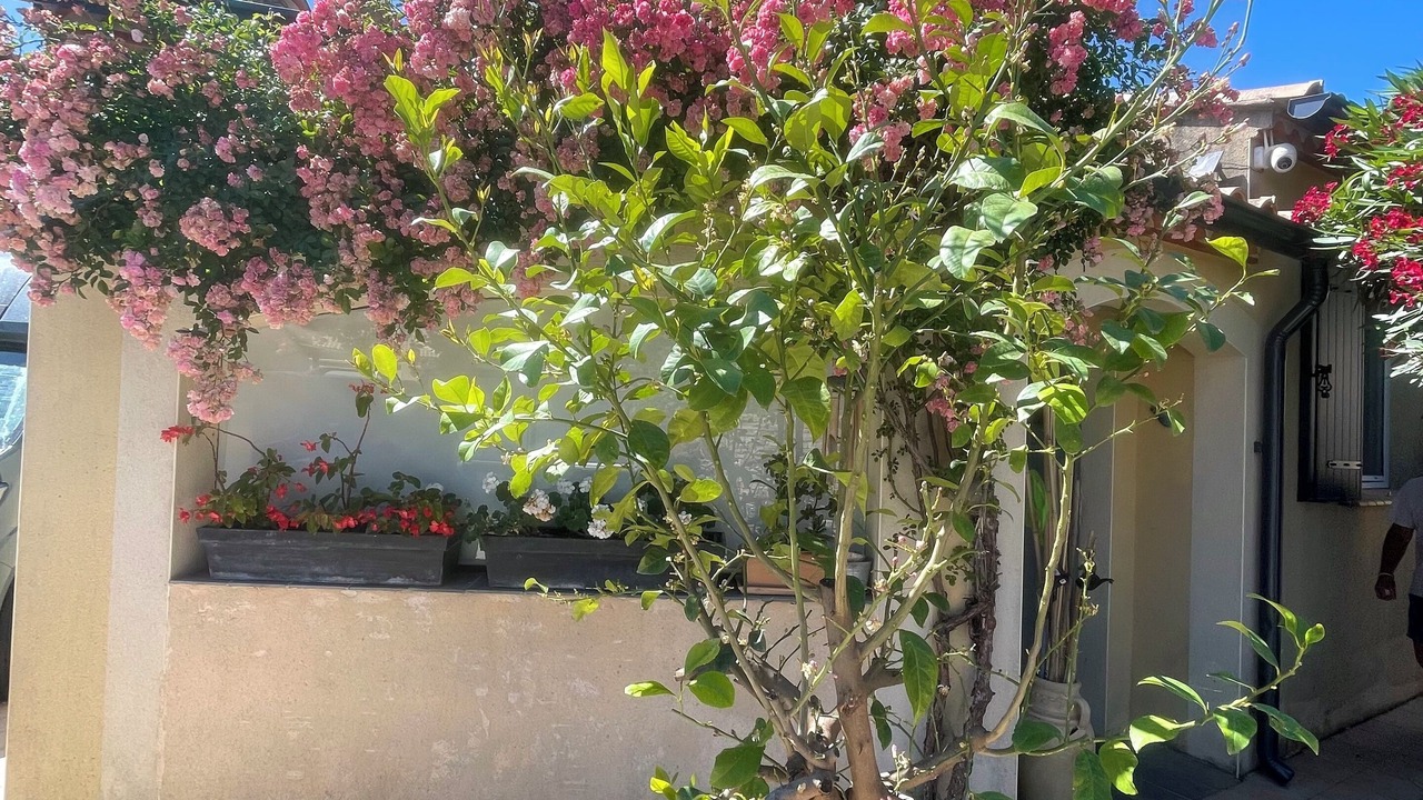 Photo of Outdoor in Clarensac