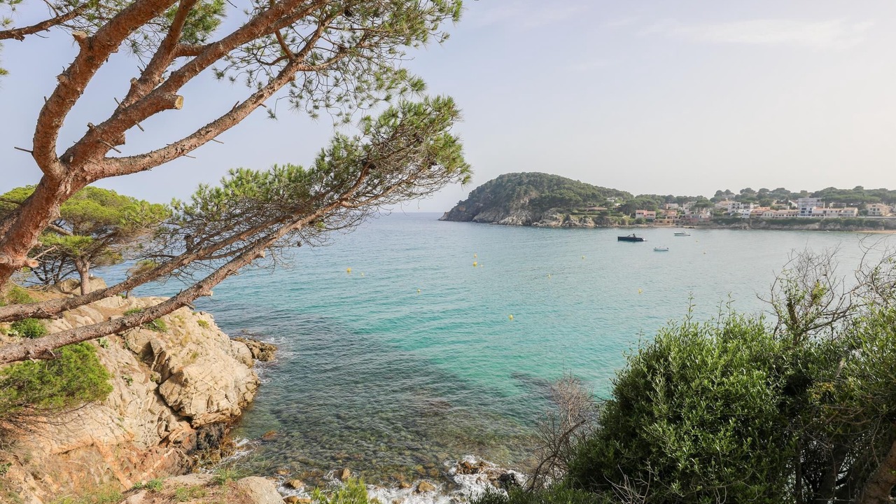 Photo of Others in Palamos