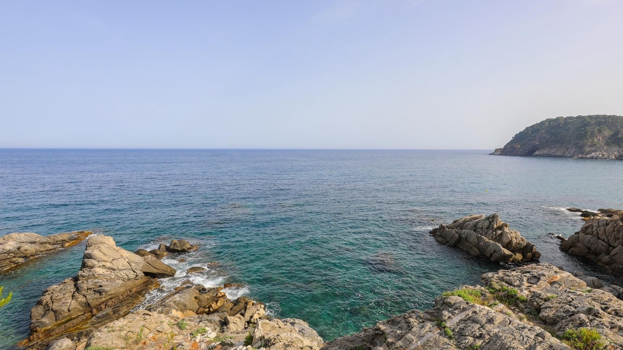 Photo of Others in Palamos
