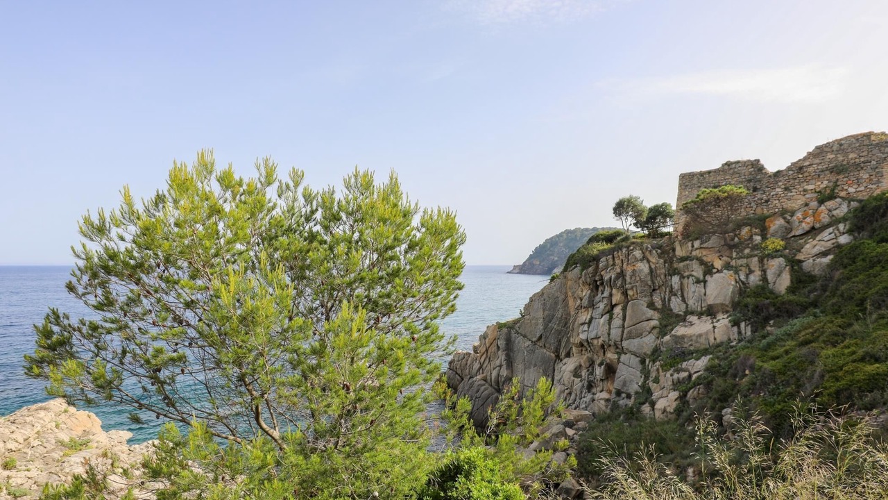 Photo of Others in Palamos