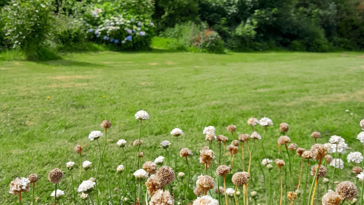 Photo of Outdoor in Rosnoen