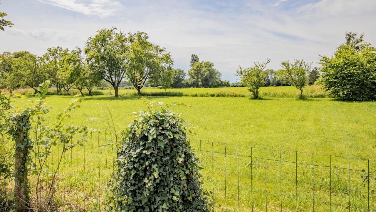 Photo of Others in Lans