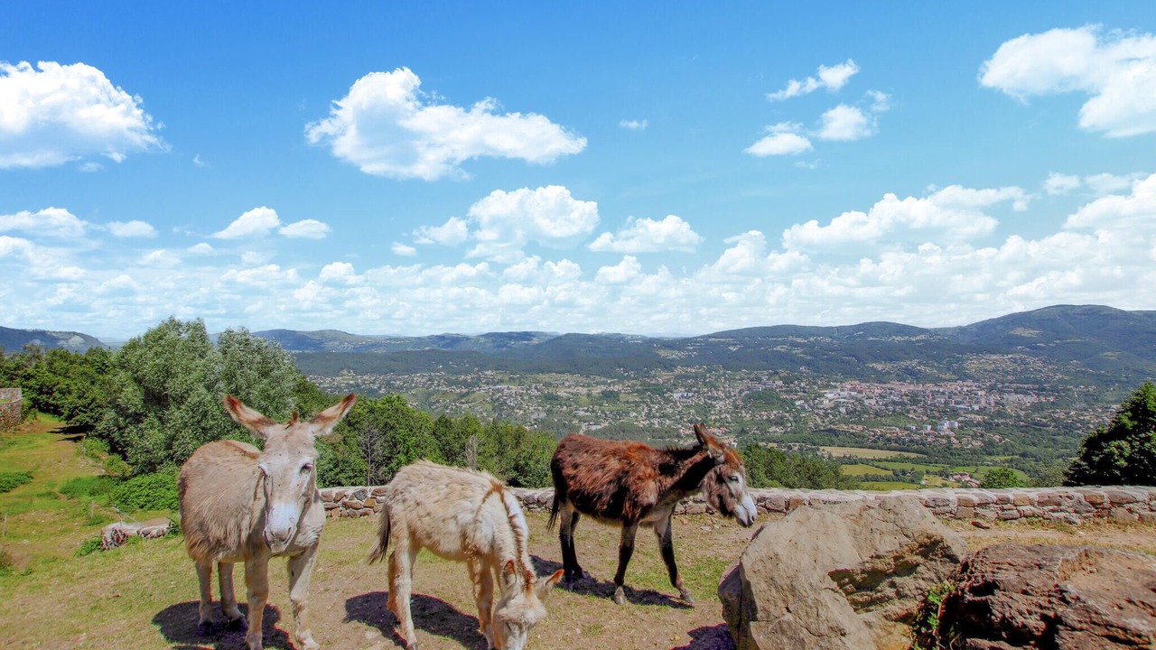 Photo of Others in Privas