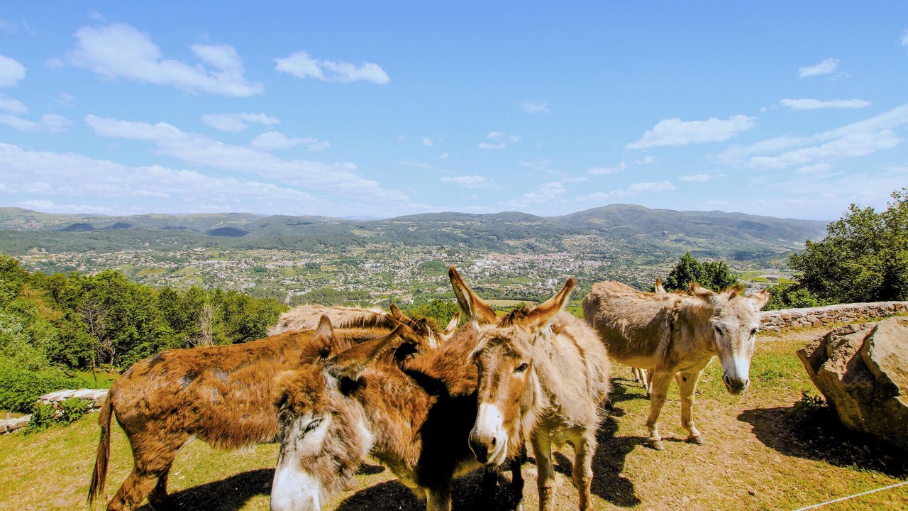 Photo of Others in Privas