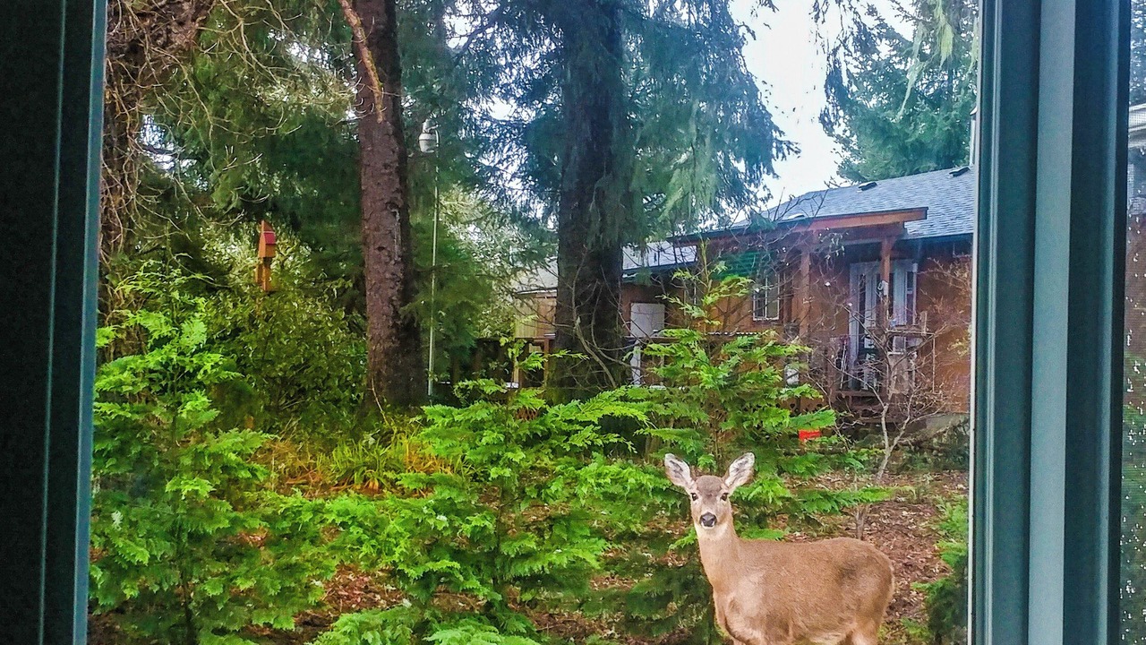 Photo of Others in Westport