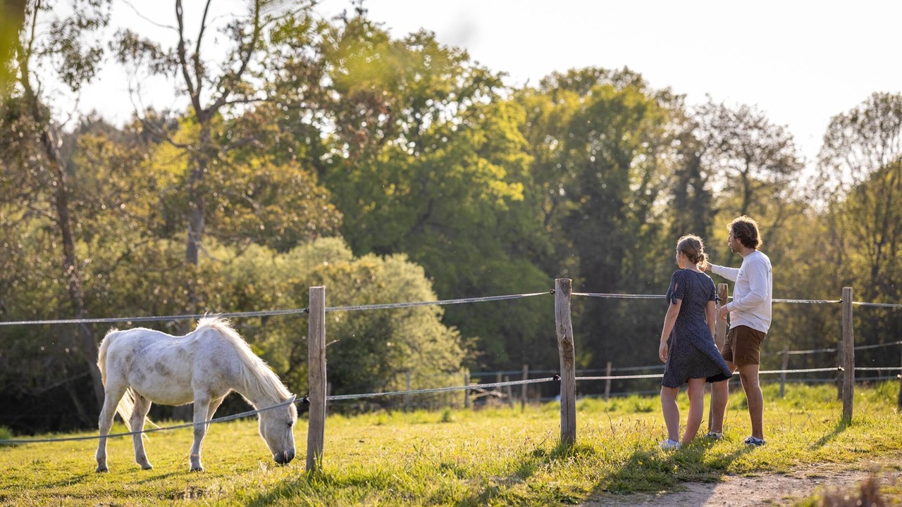 Photo of Others in Ploemel