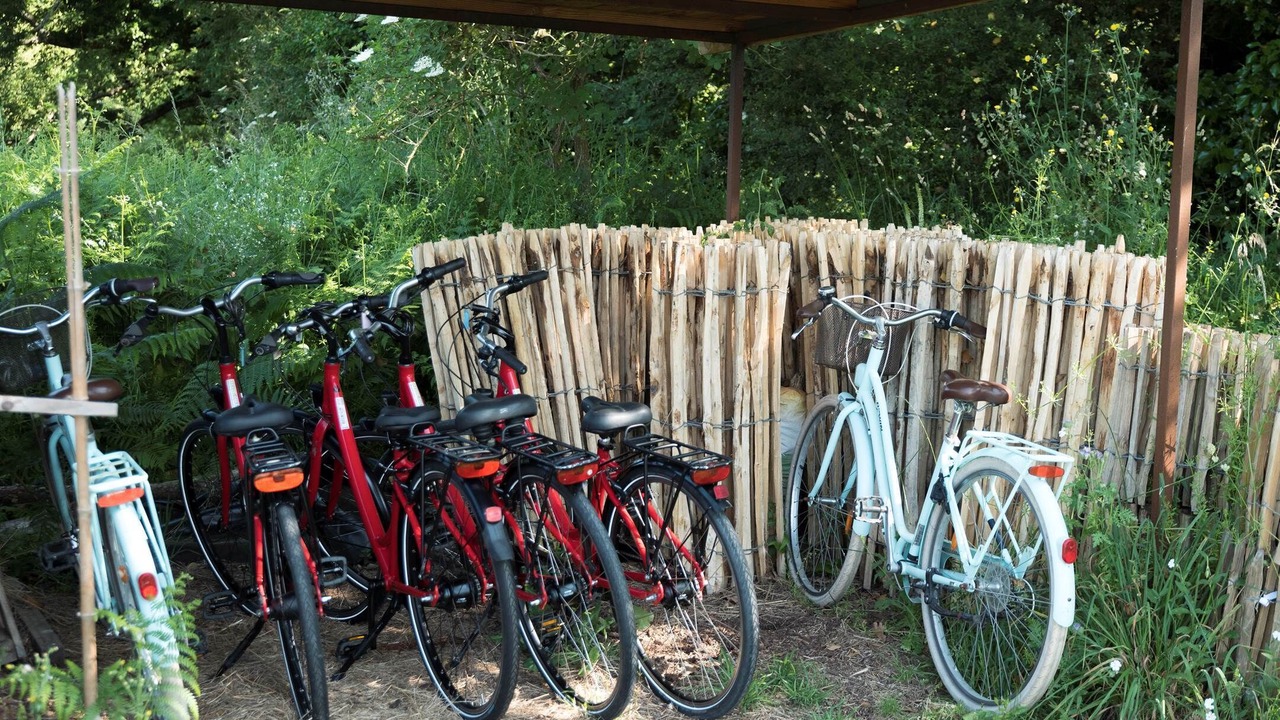 Photo of Others in Ploemel