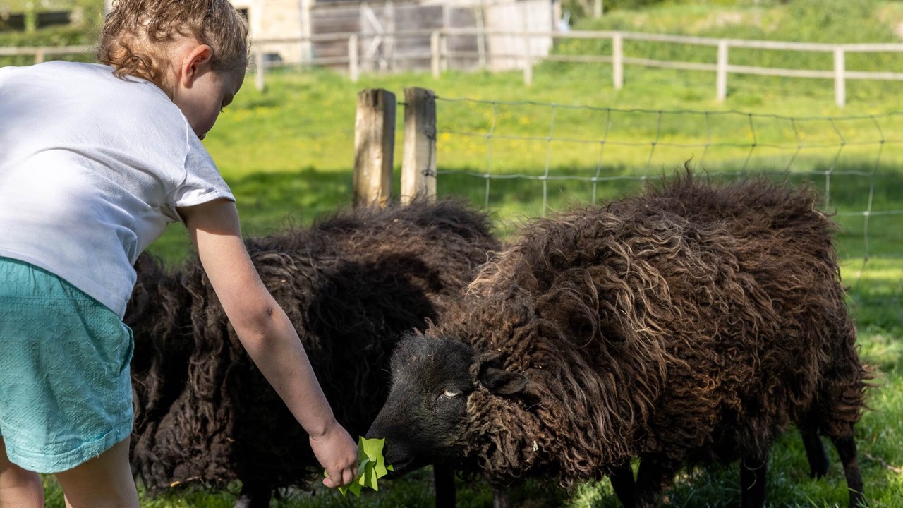 Photo of Others in Ploemel