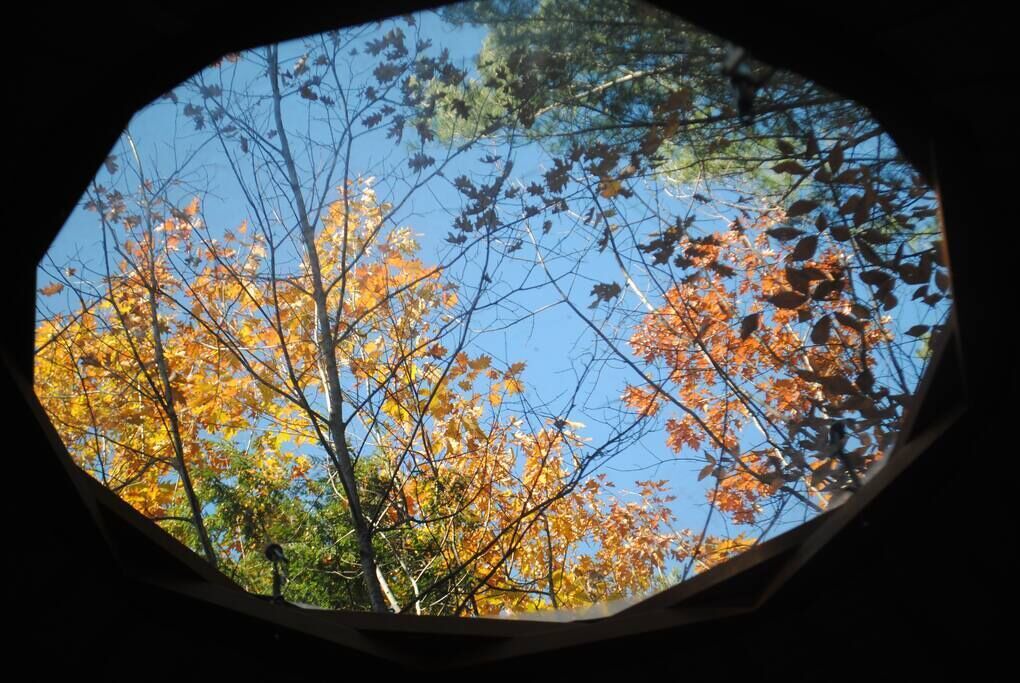 Photo of Others in Denmark