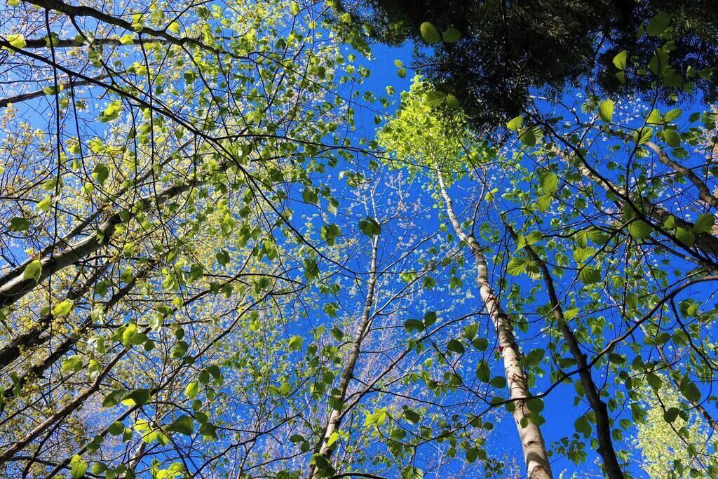 Photo of Others in Denmark