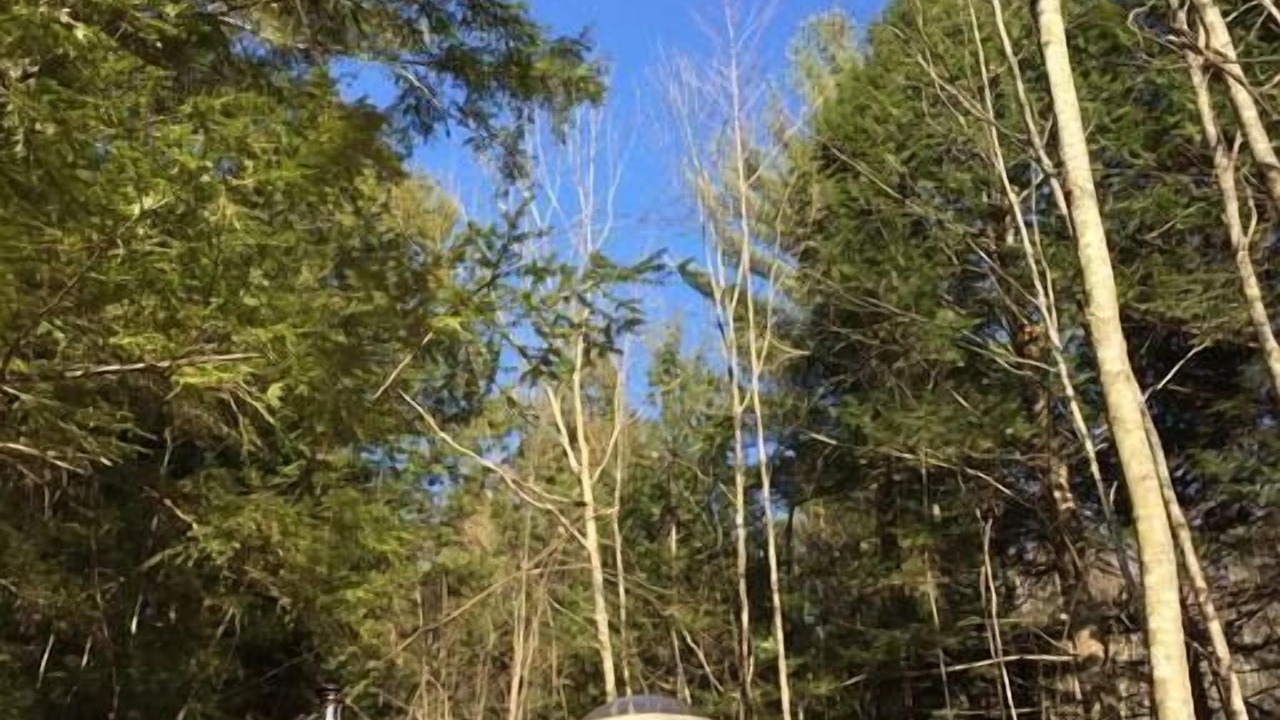 Photo of Others in Denmark