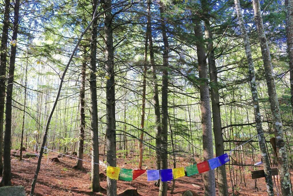 Photo of Others in Denmark